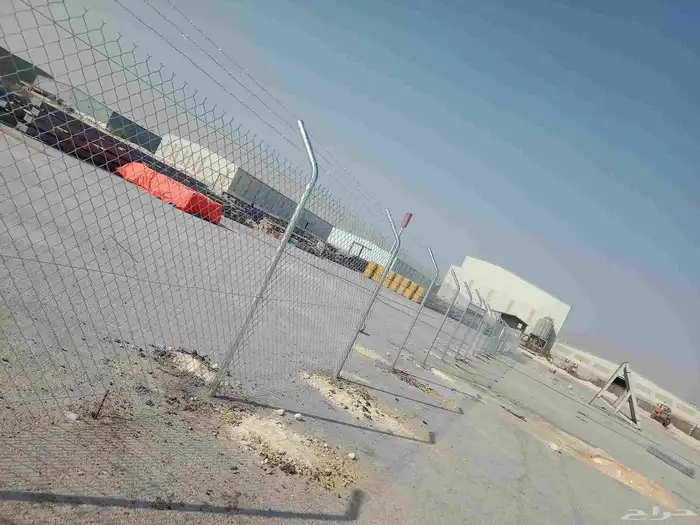 زراعه جميع انواع النخيل العربي واشنطني واعمال الشبوك وتوريده 7