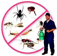 أدوات رش مكافحة الصراصير والبق والنمل بالمدينة المنورة 1