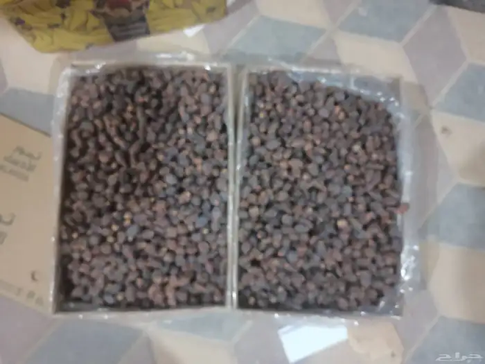 تمر رزيز عدد 6كرتون نصف من السعر سمح جدا 350 ريال فقط 0