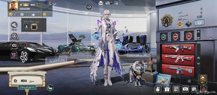 حساب ببجي فخم 6