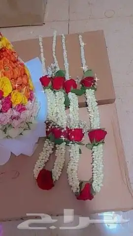 للفل البلدي 5