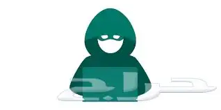 هكر اخلاقي محترف. 0