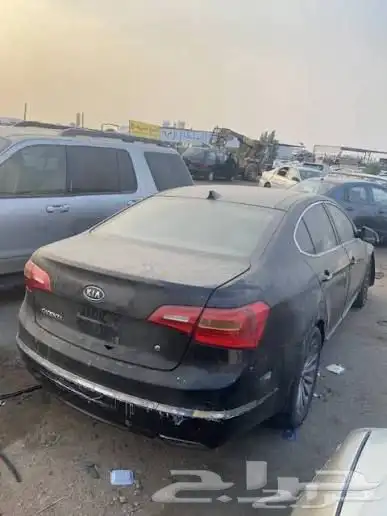 كادينزا 2019-2013 2