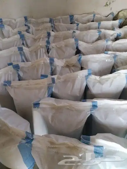 حنا عضوي 1001  من مزارعنا في ينبع النخل 3