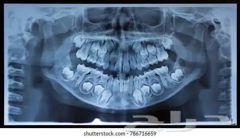 من افضل الدكاترة في التخصصات الصحيه 0