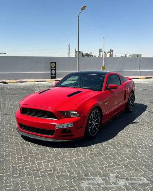 مطلوب مطلوب موستنق من 13 ل19 0