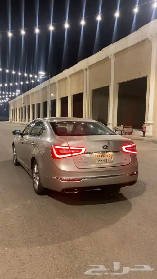 كادينزا 2014 5