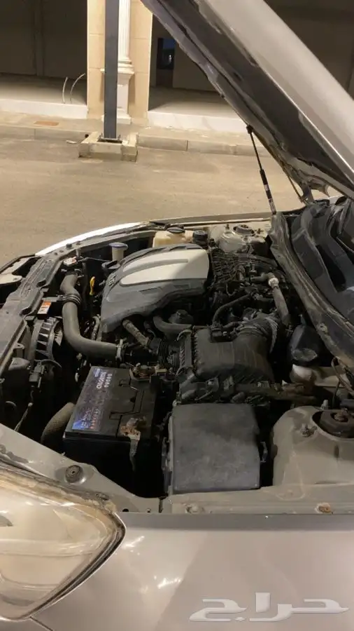 كادينزا 2014 12