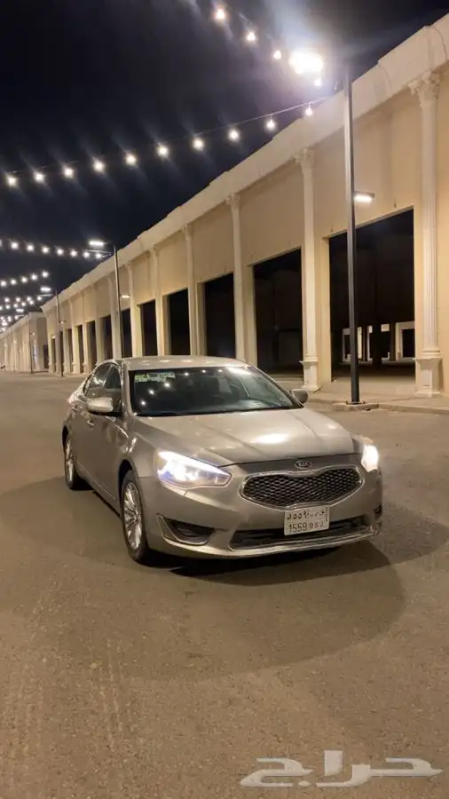 كادينزا 2014 1