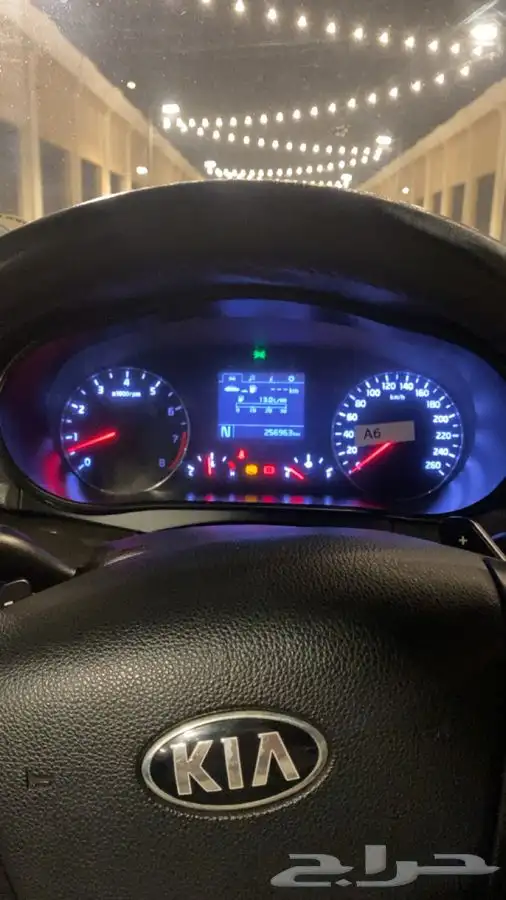 كادينزا 2014 6