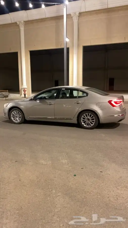 كادينزا 2014 2