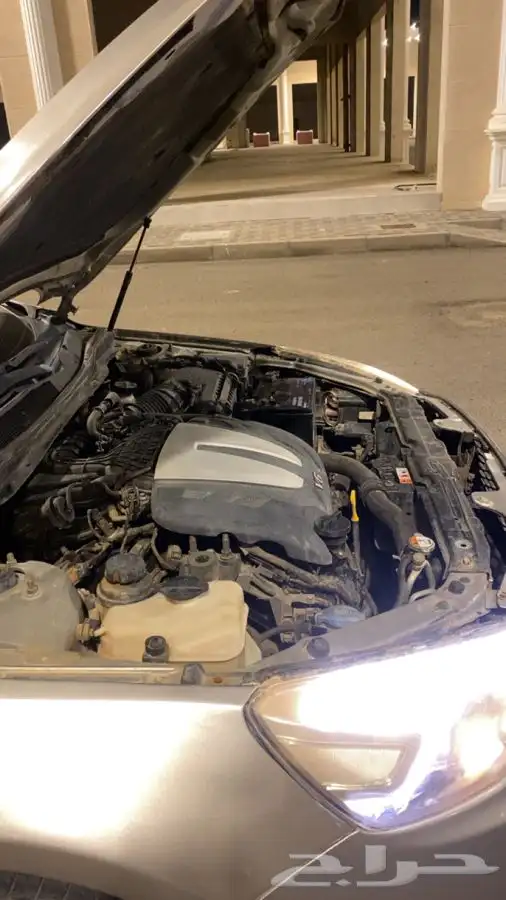 كادينزا 2014 11