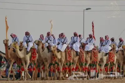 تاجير خيول وهجن وخياله وهجانه وصقور index