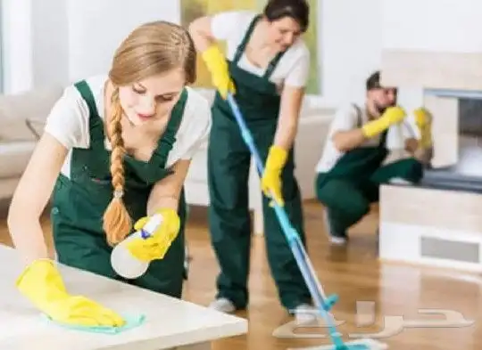 شركة تنظيف بالطائف 5