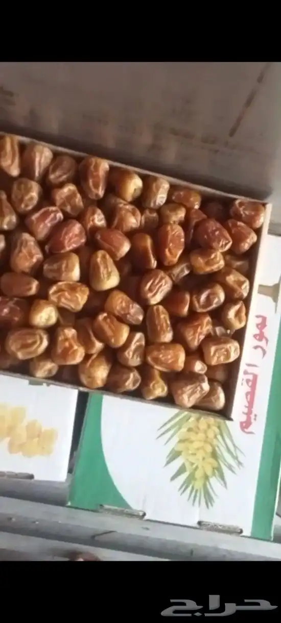 تمور سكرى رطب مفتل جلكسي ومكنوز سكرى خلاص برحى 1