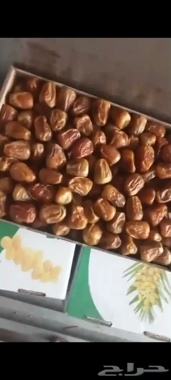 تمور سكرى رطب مفتل جلكسي ومكنوز سكرى خلاص برحى 2