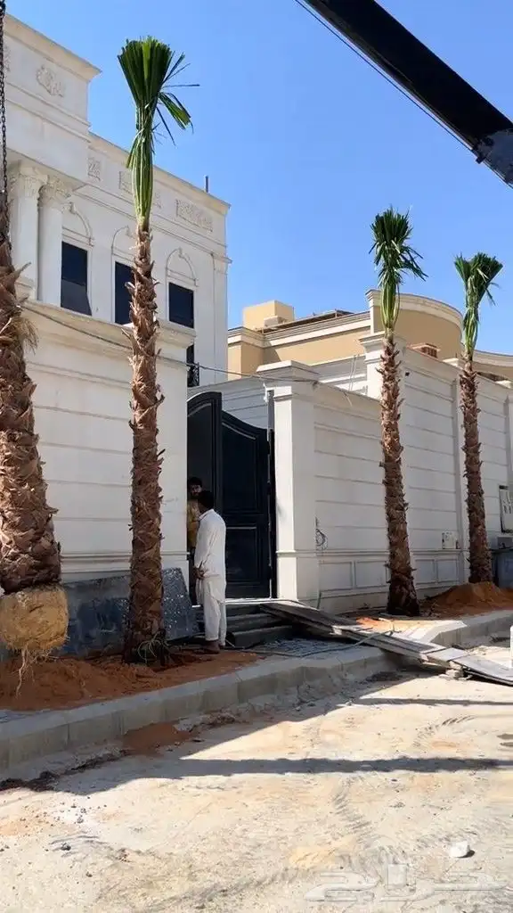 نخل للبيع عربي ووشنطني مكه المكرمه جده الطايف 9