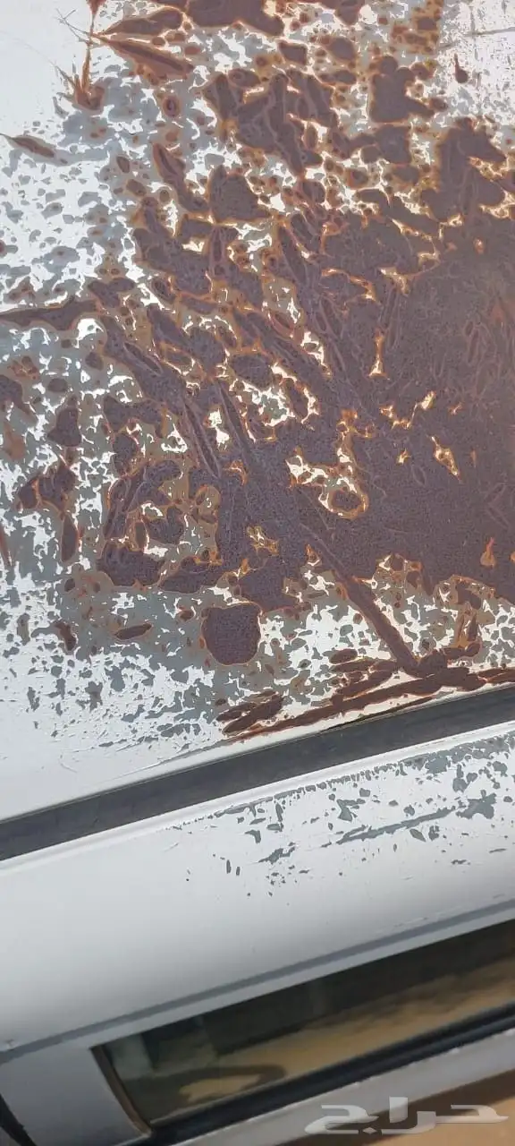 كورولا 2013 قير اتوماتيك 22