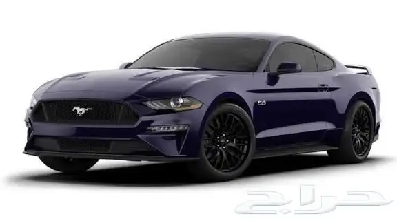 مطلوب مطلوب موستنق من 13 ل19 1