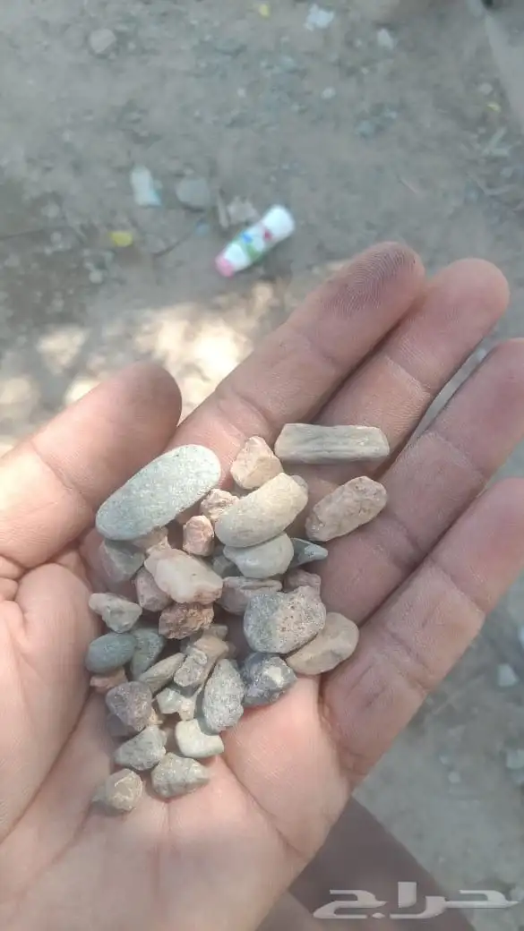 رمل احمر الفريش 20