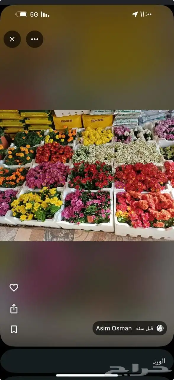 تنسيق حدائق 29