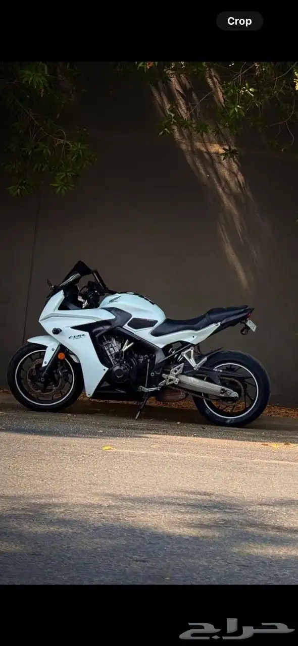 دباب هوندا CBR650cc 2