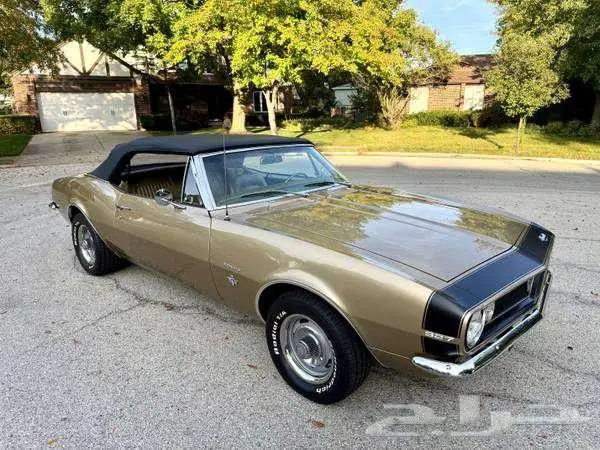 للبيع كومارو موديل 1967 قير عادي 1967 Chevy Camaro 5