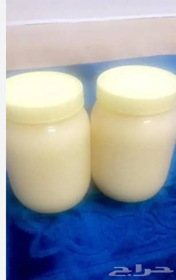 سمن خروف بلدي ابيض 2