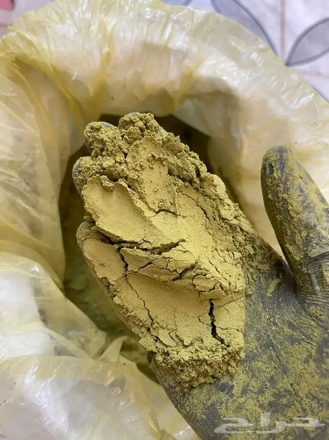 سدر وحنا ضمان ذهبي 1