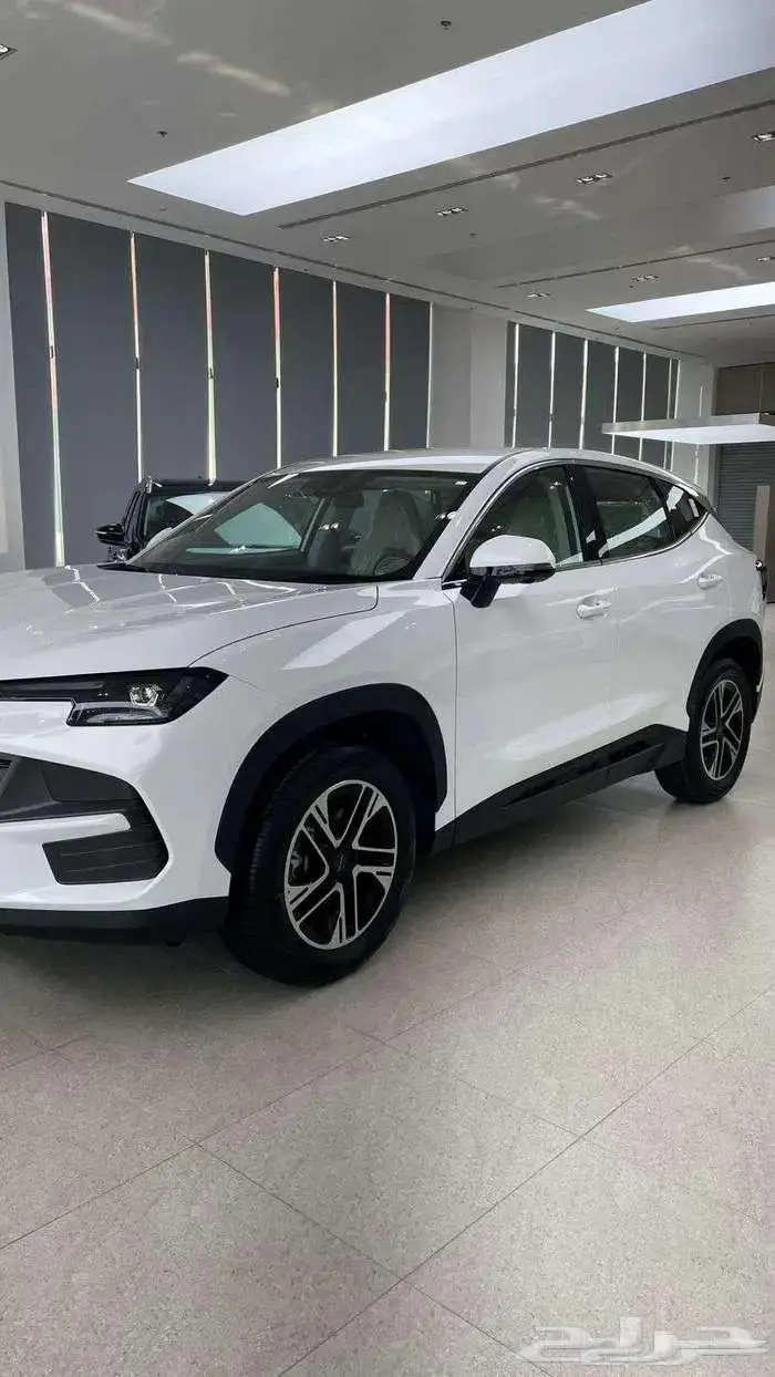 s06 2026 ساوايست _عرض حصري 0