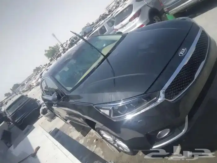 كادينزا 2019-2013 0