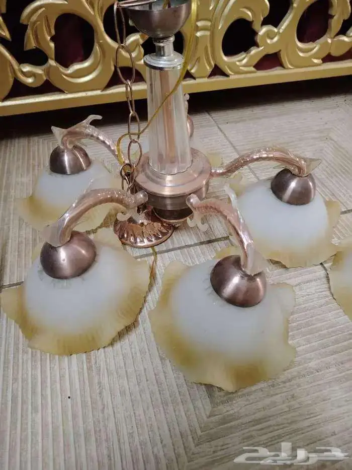 نجف للبيع بسعر رمزي 1