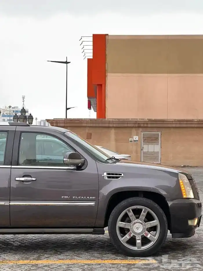 كاديلاك اسكاليد موديل 2011 قمة النظافه 25