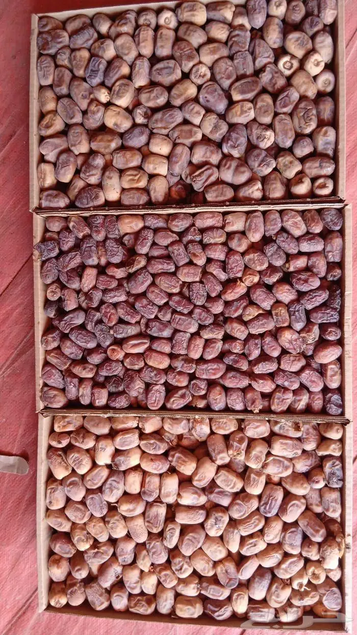 للبيع تمور نوايع بأسعار مخفضه للتصريف جمله 1