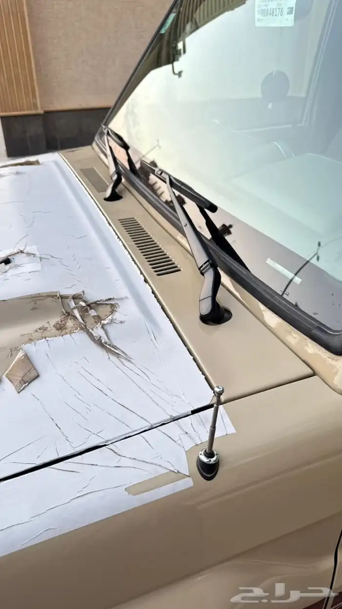 شاص فل كامل ( شبه الاصفار ) 47