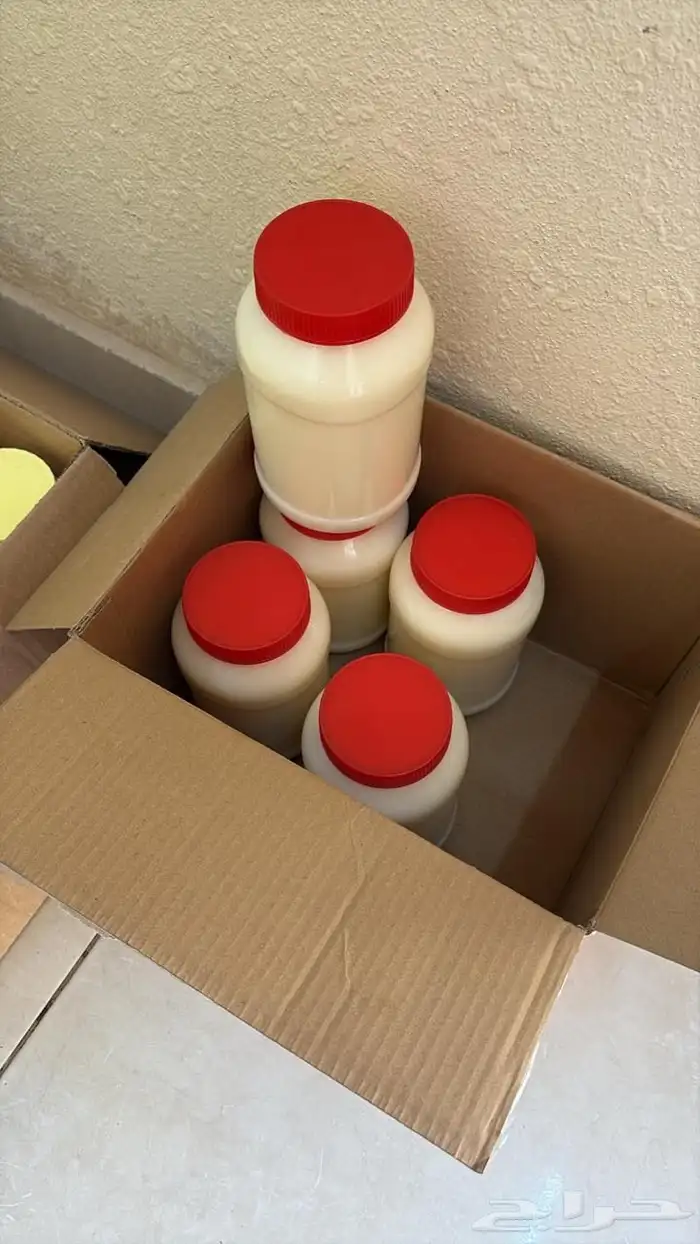 سمن غنم ضان طبيعي القصيم نشحن لجميع المناطق 1