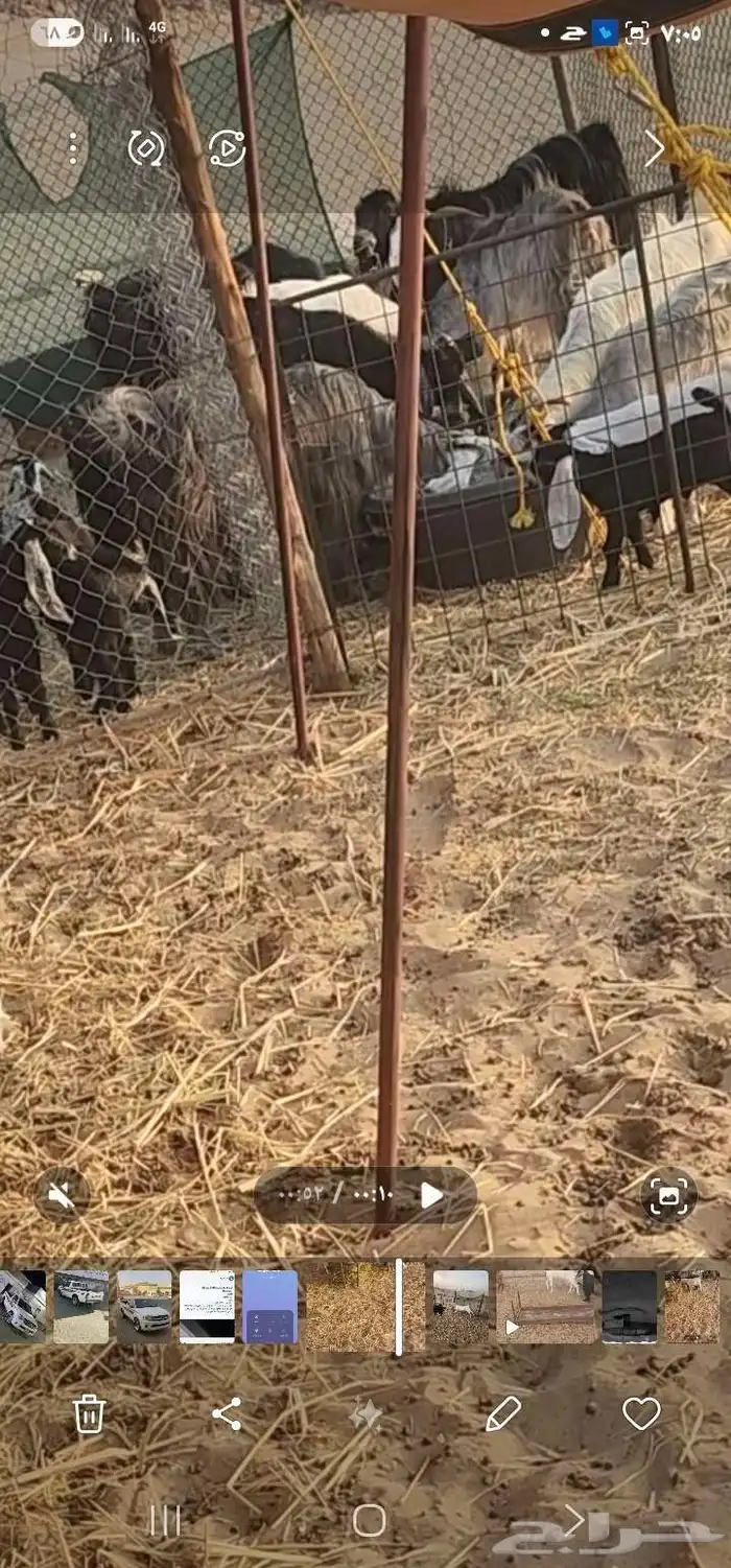 معزا عوارض 1