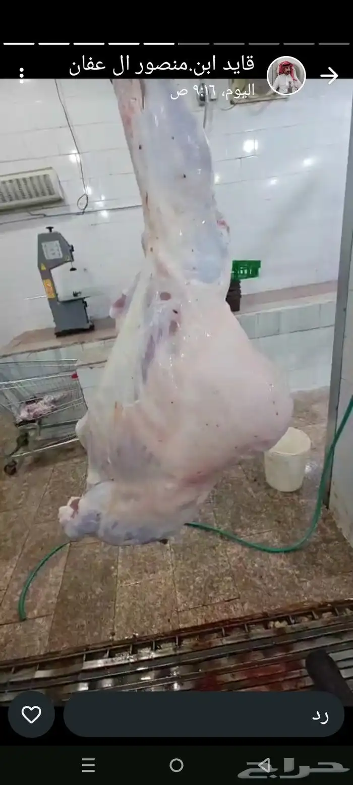 ملحمة النسيم ومزارع بلدي خرفان تيوس يوجد توصيل 7