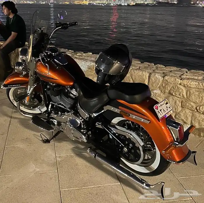 هارلي سوفتيل ديلوكس 2019 اللي يدور النظيف 14