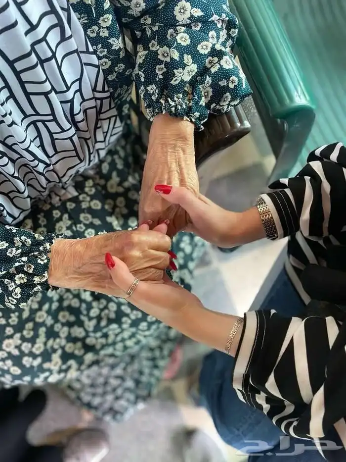 شيلات حصريه واسعار مغريه 1