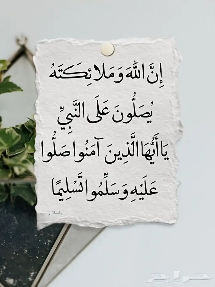 رقم stc للبيع 0