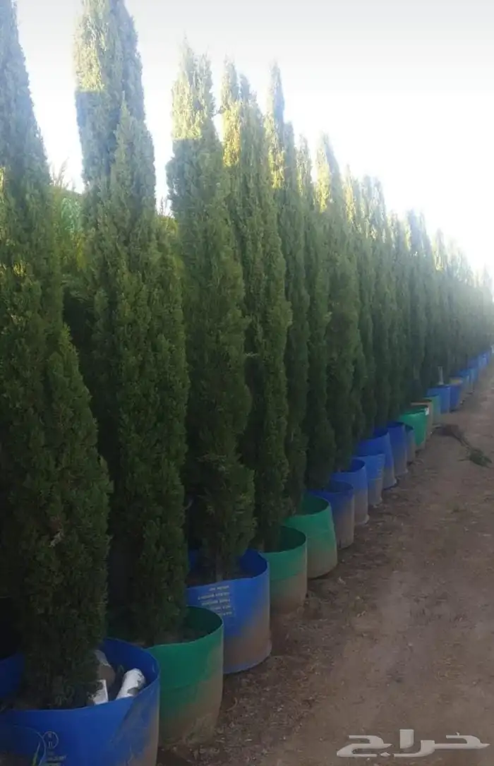 تنسيق حدائق 7