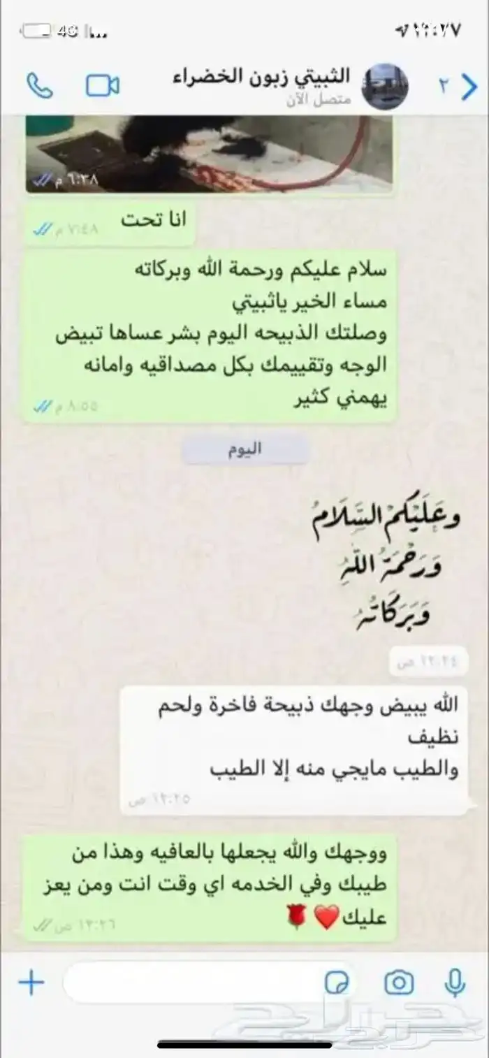 ذبايح وحنيذ ارباع وانصاص يوجد ذبح وتوصيل راجع التقييمات 65