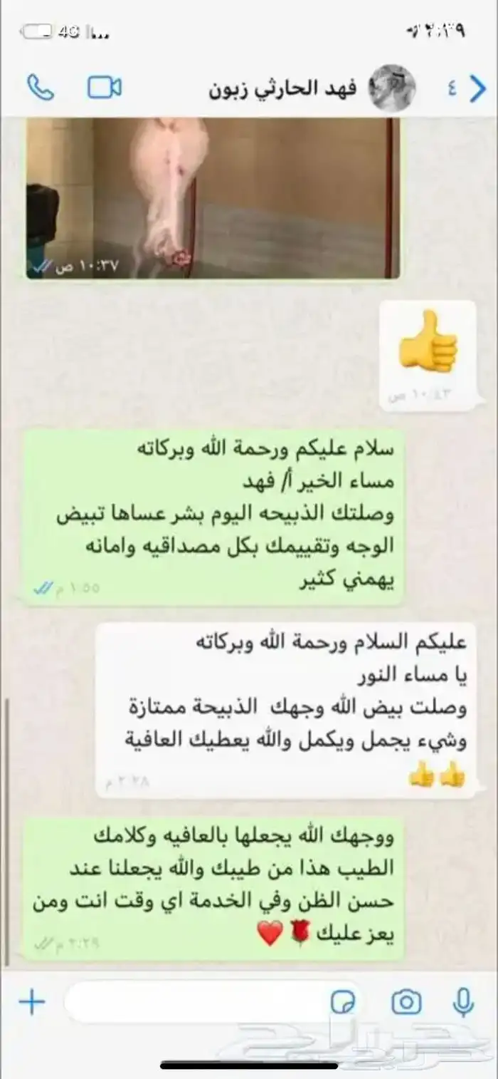 ذبايح وحنيذ ارباع وانصاص يوجد ذبح وتوصيل راجع التقييمات 45