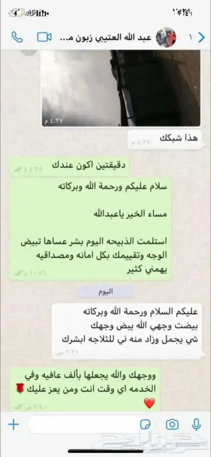 ذبايح وحنيذ ارباع وانصاص يوجد ذبح وتوصيل راجع التقييمات 81