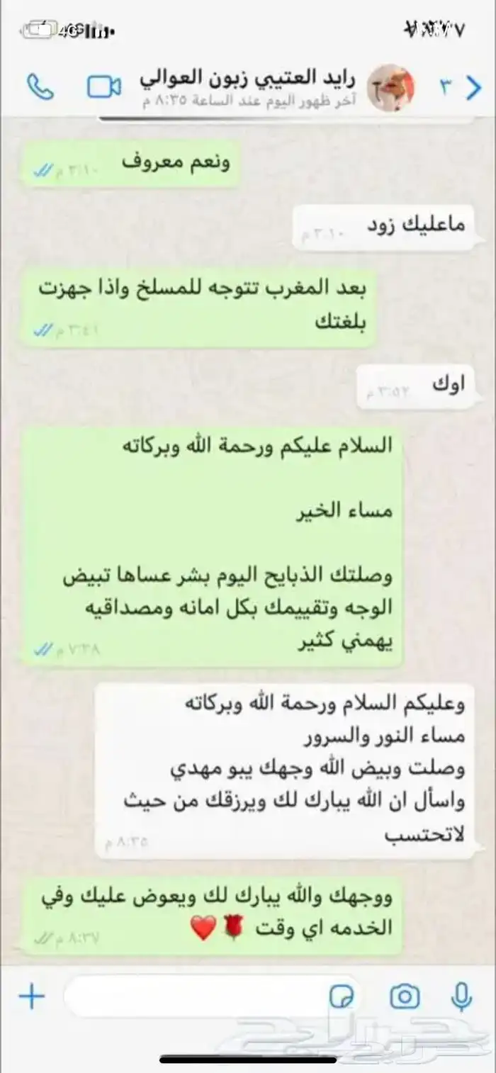 ذبايح وحنيذ ارباع وانصاص يوجد ذبح وتوصيل راجع التقييمات 79