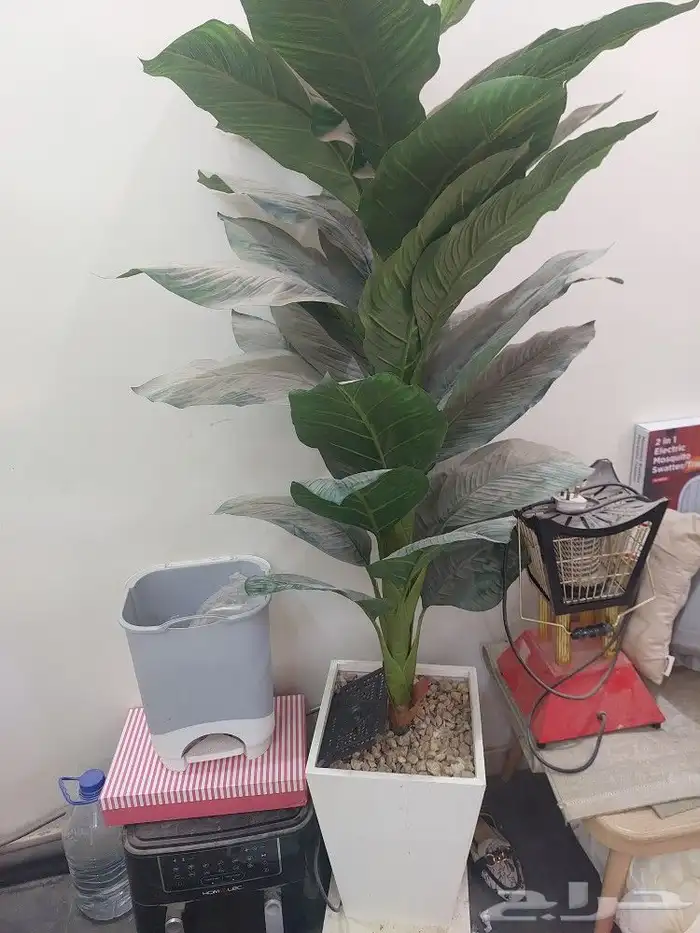 شاشه 65 بوصه LG ومكيف وثلاجه وادوات مطبخ 14