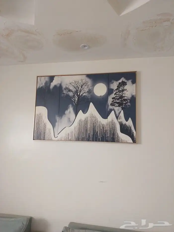 شاشه 65 بوصه LG ومكيف وثلاجه وادوات مطبخ 4