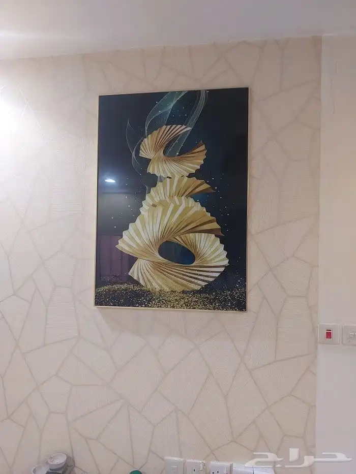 شاشه 65 بوصه LG ومكيف وثلاجه وادوات مطبخ 15