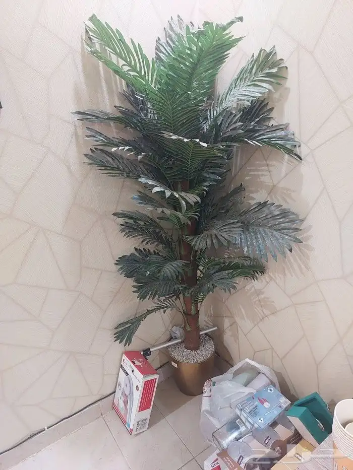 شاشه 65 بوصه LG ومكيف وثلاجه وادوات مطبخ 16